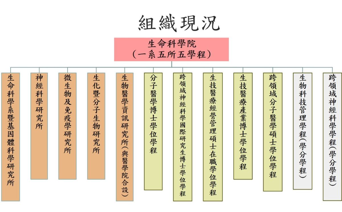 組織架構