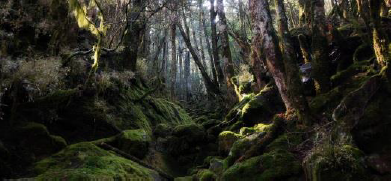 5.光：幽邃